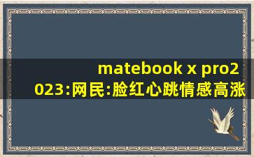 matebook x pro2023:网民:脸红心跳情感高涨！